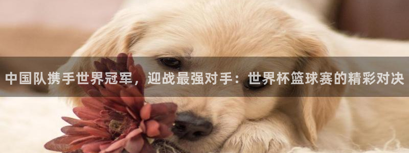 世界杯预选赛亚洲区积分榜:中国队携手世界冠军,迎战最强对手:世界杯篮球赛的精彩对决