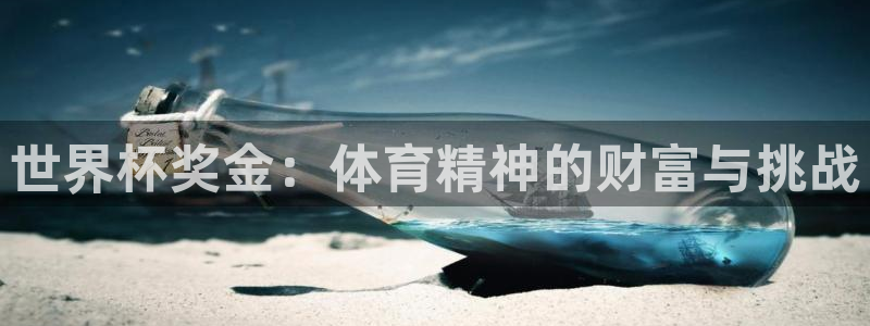 世界杯预选赛欧洲区赛程:世界杯奖金:体育精神的财富与挑战